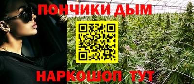 дмт Донской