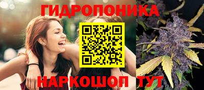 спайс Дубна