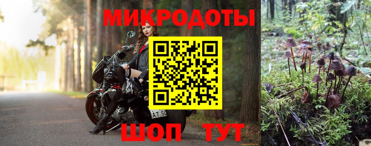 Псилоцибиновые грибы Psilocybine cubensis  Вход с VPN  Галлюциногенные грибы прущие грибы  Всеволожск 